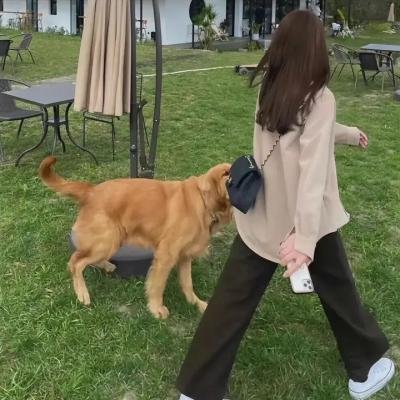 电脑杀手